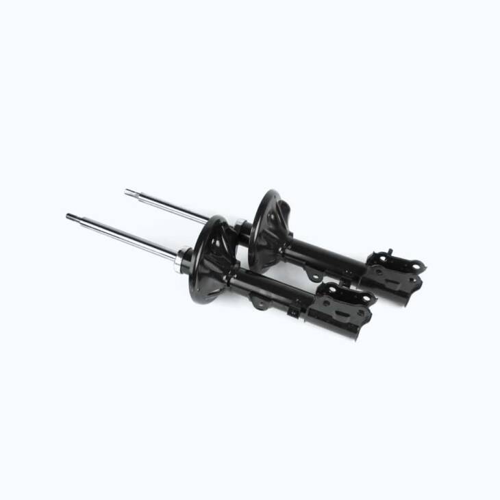 Suspension springs - Image 2